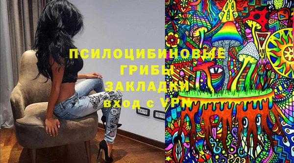 прущие грибы Богородицк