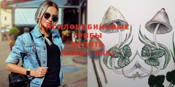 PSILOCYBIN Богданович