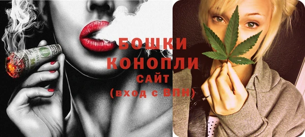 крисы Жердевка