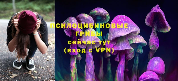 прущие грибы Богородицк