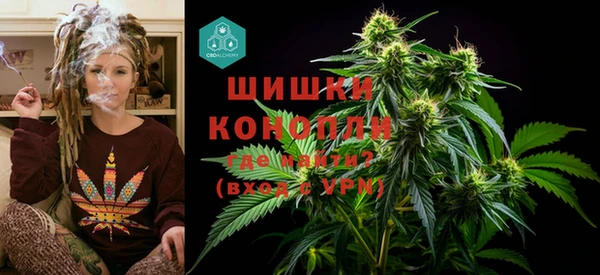 прущие грибы Богородицк
