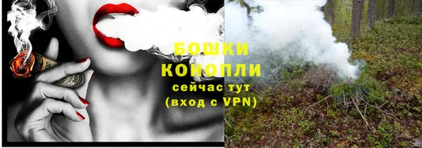 PSILOCYBIN Богданович